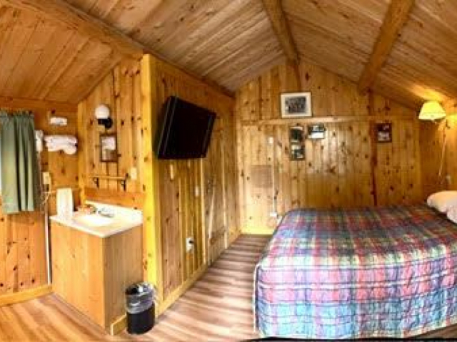 Basic Cabin - 1 Queen