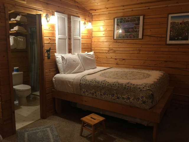 Denali Family Cabin