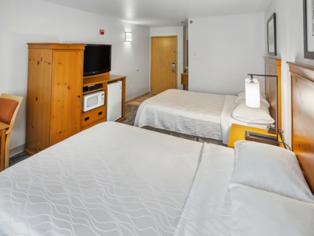 Standard Rooms - 1 Queen or 2 Doubles