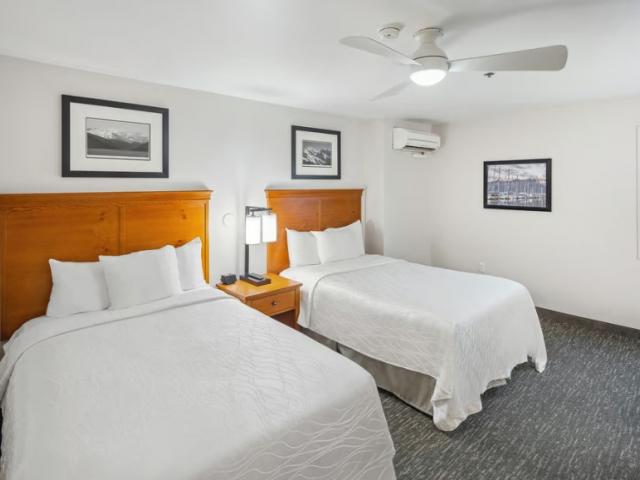 Standard Rooms - 1 Queen or 2 Doubles