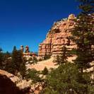  A partial view of the limestone plateaus in Bryce Canyon Park