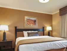 Suite 1 King & 2 Queen Beds