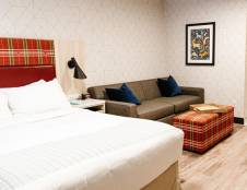 Standard Queen Sofa Bed - Dog Friendly Room