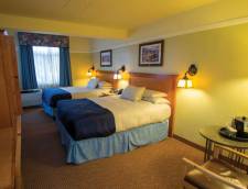 Standard 1 or 2 Queens