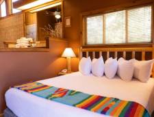 Executive Suite - 1 Queen