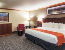 Executive King Suite