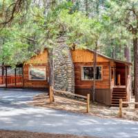 redwoods-in-yosemite-74-1