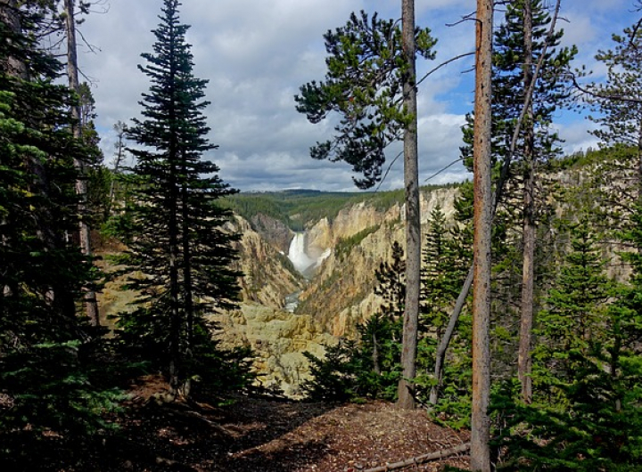 Canyon Falls