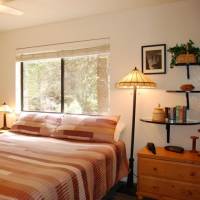 redwoods-in-yosemite-23A-10