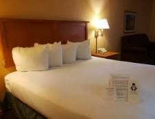 Pool View Rooms - 1 King or 2 Queens