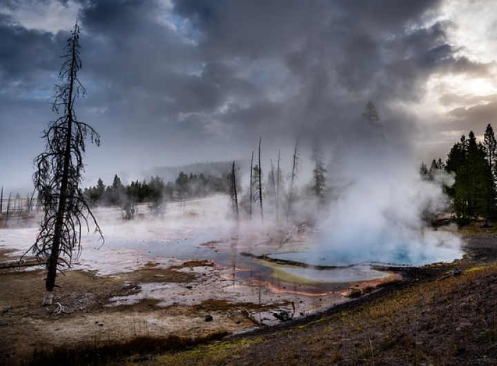 Geyser in Yellowstone National Park
