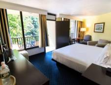 1 King Bed Standard Mini-Refrigerator