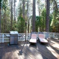 the-tree-house-II-48r_15