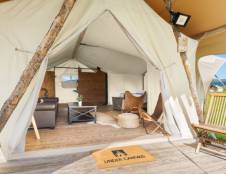 Suite Tent - 1 King & 1 Queen Sofa Sleeper