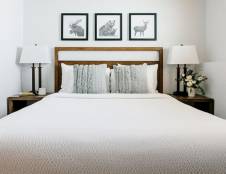 Whistler Room 1 Queen 1 Sofa Sleeper