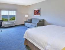 1 King Bed Ocean View with Sofa Bed