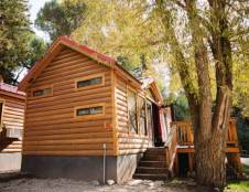 Husky Bear - 1 Queen, 1 Twin/Twin Bunk Bed & 1 Love Seat