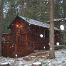  Redwoods in Yosemite 