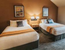 Standard Rooms - 1 King or 2 Queens