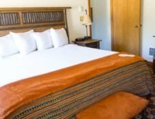 Guest Suites - 1 King Bed with Sofa Sleeper