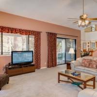 redwoods-in-yosemite-1-7