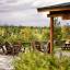 Mt. McKinley Princess Wilderness Lodge Patio