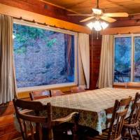 redwoods-in-yosemite-22B-6