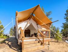 Suite Tent - 1 King & 1 Queen Sofa Sleeper