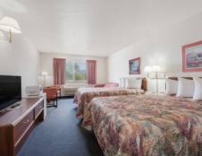 2 King Beds Studio Suite