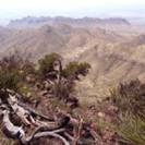Rolling Basin in Big Bend Park