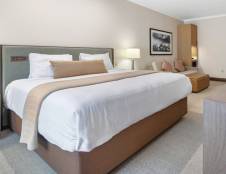 Premier King Guestroom with Fireplace