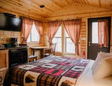 Honey Bear - 1 Queen & 1 Twin/Queen Bunk Bed