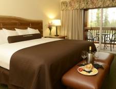 Village Lodge One King with View