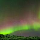 Hiking Denali: A Wilderness Adventure