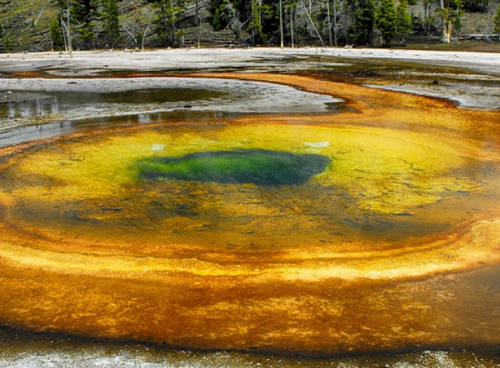 Yellowstone National Park