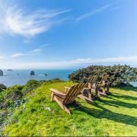 Whale Rock Suite #1 - Trinidad