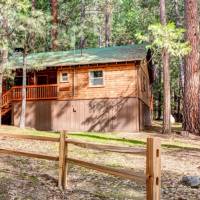 redwoods-in-yosemite-74-3