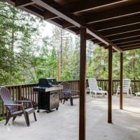 redwoods-in-yosemite-22B-15