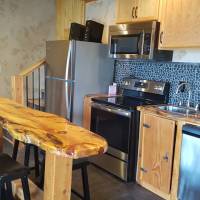 Downstairs Kitchen/Bar