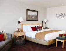 Standard Rooms - 1 King or 2 Queens