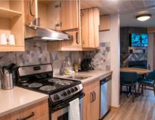 One Bedroom Condo - 1 Queen & 1 Double Sofa Sleeper