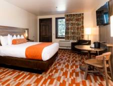 Standard Rooms 1 King or 2 Queens - South