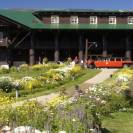 Glacier Park Lodge outside view