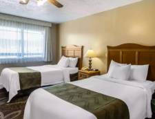 2 Queen Beds, Mountain View