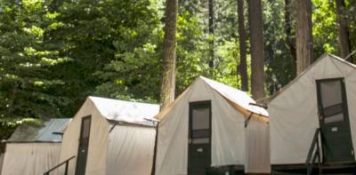 Curry Village Yosemite National Park