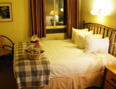 1 Queen Bed, Bath Tub (no shower)