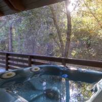 Yosemite's Creekside Birdhouse at Wawona