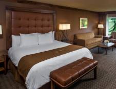 Executive Room - 1 King & 1 Sofa Sleeper