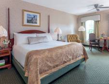 King Suite - 1 King & 1 Sofa Sleeper