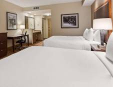 1 King & 1 Sofa Sleeper or 2 Queens